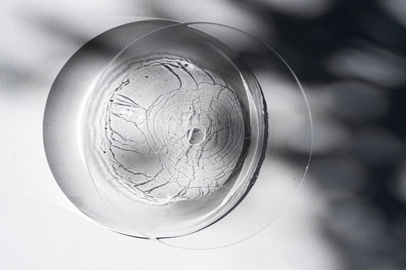 兒島佳祐さんの作品