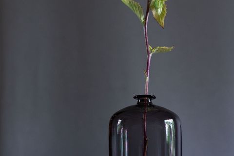 藤田永子・鷲塚貴紀 2人展『Elemental』、2日目です
