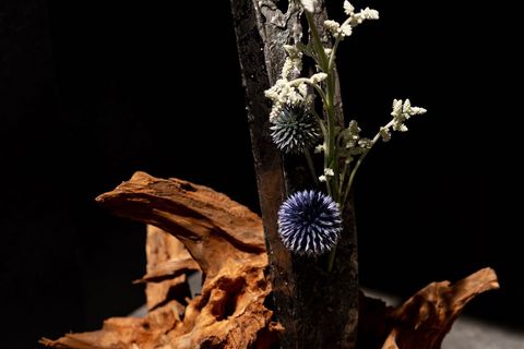 藤田永子さんの壁掛けの花器