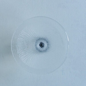 MKN-N1-002-c